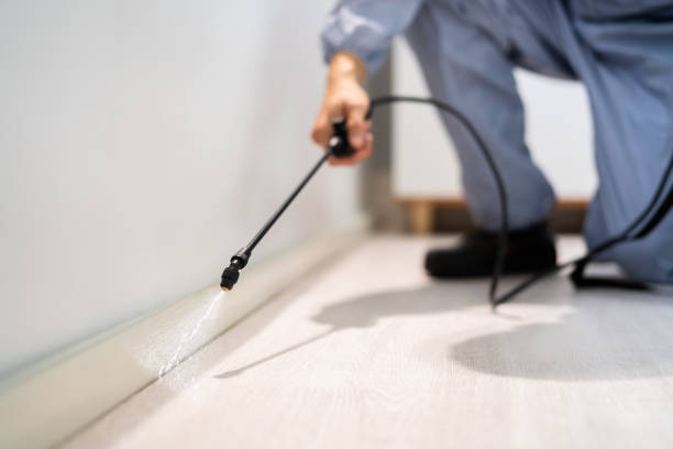 Licensed Pest Control service in Central Falls, RI - Show Me Pest Control