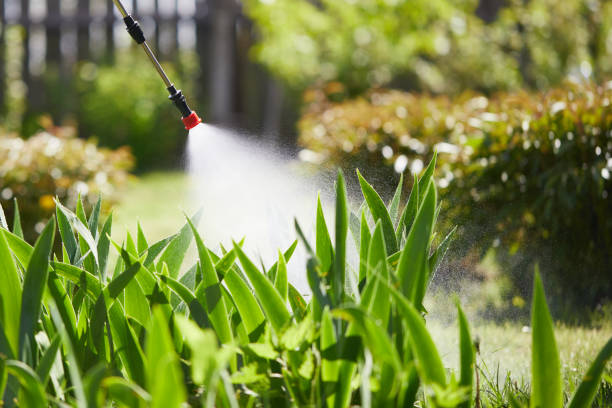 24/7 Emergency Mosquito Control experts in Central Falls, RI