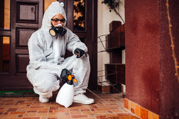 Reliable Mosquito Control contractor in Central Falls, RI by Show Me Pest Control
