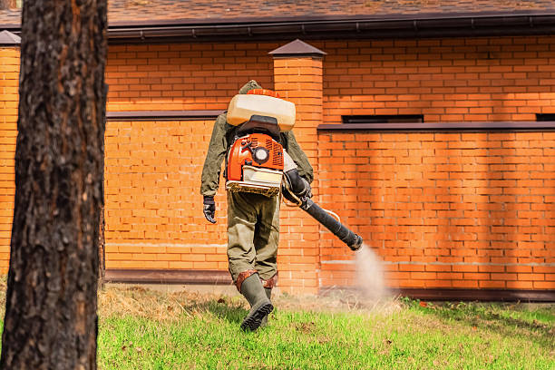 Top rated local Mosquito Control specialists in Central Falls, RI